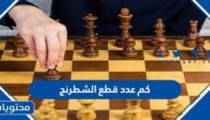 كم عدد قطع الشطرنج