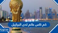 كم كاس عالم لدى البرازيل حتى مونديال 2022