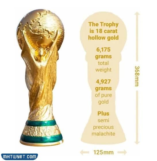 كم يبلغ وزن كاس العالم 2022 لكرة القدم