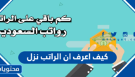 كيف اعرف ان الراتب نزل في السعودية