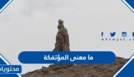 ما معنى المؤتفكة
