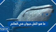 ما هو اثقل حيوان في العالم
