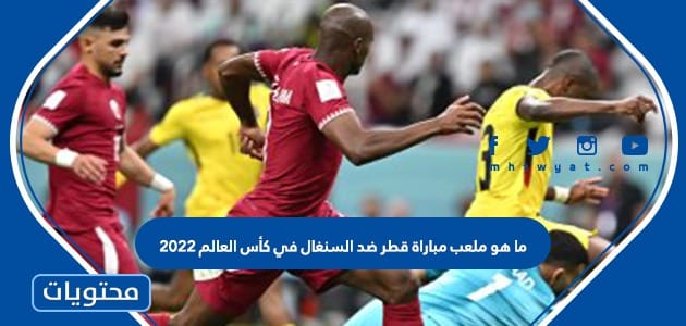 ما هو ملعب مباراة قطر ضد السنغال في كأس العالم 2022