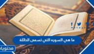 ما هي السورة التي تسمى الحائلة