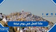 ماذا افعل في يوم عرفة .. نصائح لقضاء يوم عرفة