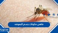 ماهي مكونات جسم البعوضه