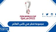 مجموعة قطر في كاس العالم 2022