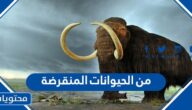 من الحيوانات المنقرضة