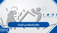 نظام الحماية من الإيذاء