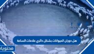 هل دوران الحيوانات بشكل دائري علامات الساعة