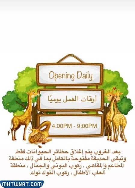 مواعيد عمل الغابة الصغيرة في الكويت 2023