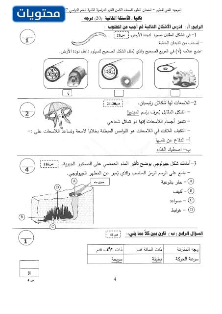 نموذج امتحان العلوم للصف الثامن 2022 العاصمة