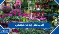 اقرب محل ورد من موقعي .. كيف اعرف اقرب محل ورد من مكاني