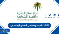 ما هي الفئات المستهدفة في الضمان الإجتماعي الجديد 1447
