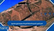 تتميز الفنون الصخرية بالمملكة العربية السعودية بتنوع مضامينها