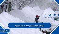 توقعات عاصفة ثلجية تضرب السعودية