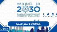 رؤية 2030 لا تحقق التنمية