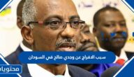 سبب الافراج عن وجدي صالح في السودان