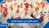 سجل عامل في مزرعة دواجن