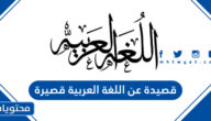 قصيدة عن اللغة العربية قصيرة