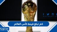 كم تبلغ قيمة كأس العالم