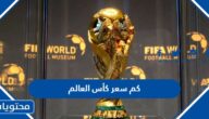 كم سعر كأس العالم بالدولار وكم وزنه