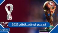 كم سعر كرة كأس العالم 2022