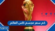 كم سعر مجسم كاس العالم 2022 وكم وزنه