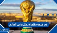 كم قيمة مكافأة بطل كاس العالم 2022