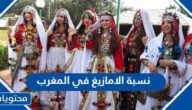 كم نسبة الامازيغ في المغرب 2025