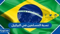 كم نسبة المسلمين في البرازيل 2025
