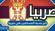 كم نسبة المسلمين في صربيا 2025