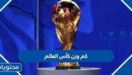 كم وزن كأس العالم