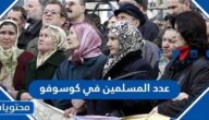 كم يبلغ عدد المسلمين في كوسوفو 2025