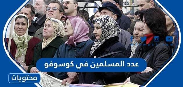 كم يبلغ عدد المسلمين في كوسوفو 2025