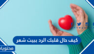 كيف حال قلبك الرد ببيت شعر