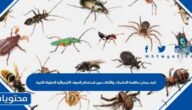 كيف يمكن مكافحة الحشرات والآفات دون استخدام المواد الكيميائية الملوثة للتربة