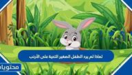 لماذا لم يرد الطفل الصغير التحية على الأرنب