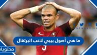ما هي أصول بيبي لاعب البرتغال