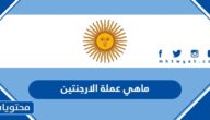ماهي عملة دولة الارجنتين بالصور