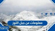 معلومات عن جبل اللوز في تبوك بالصور
