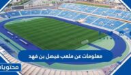 معلومات عن ملعب فيصل بن فهد بالصور