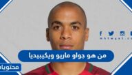 من هو جواو ماريو ويكيبيديا