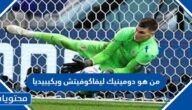من هو دومينيك ليفاكوفيتش ويكيبيديا