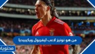 من هو نونيز لاعب ليفربول ويكيبيديا