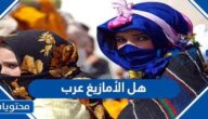 هل الأمازيغ عرب