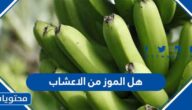 هل الموز من الاعشاب ام من الفواكه وأهم فوائده