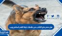 هل عدم نباح الكلاب من علامات ليلة القدر اسلام ويب