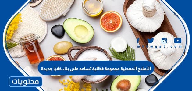 الاملاح المعدنية مجموعة غذائية تساعد على بناء خلايا جديدة