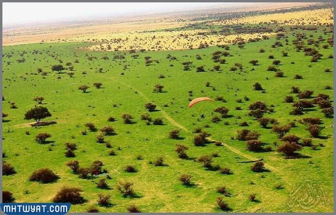 روضة خريم 1444